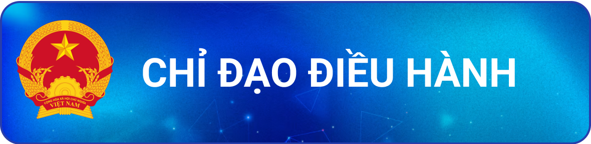 Chỉ đạo điều hành