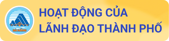 Hoạt động của Lãnh đạo thành phố