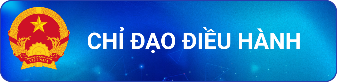 Chỉ đạo điều hành