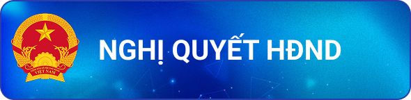 Nghị quyết HĐND